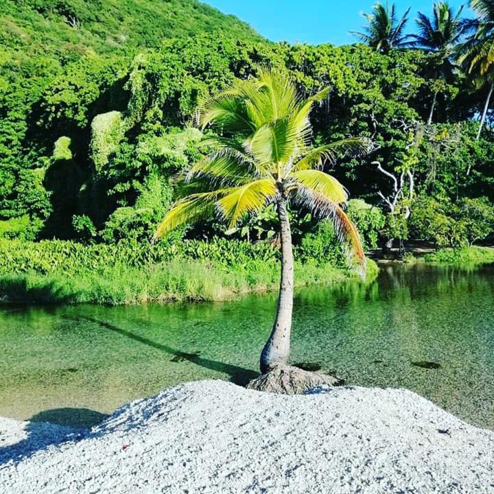 Dona Cornelia Hotel Los Patos Buitenkant foto